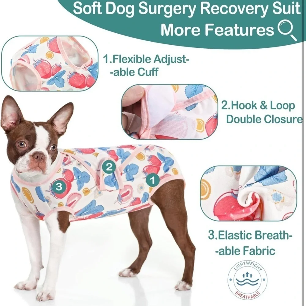 Spay suit
